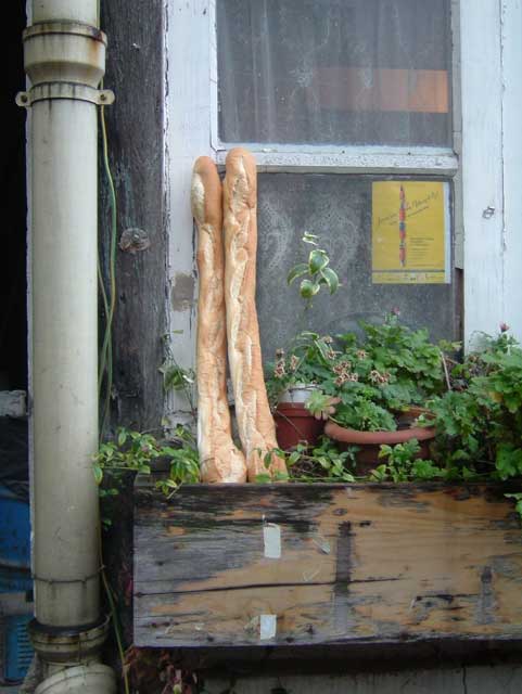 Photo n� 19