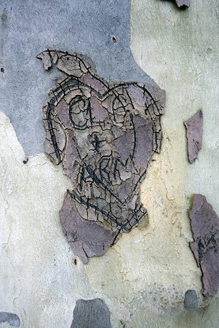 Gravé au couteau. AmourGrave.jpg
