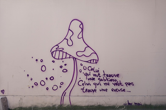 Sous les spores ChampignonMur.jpg