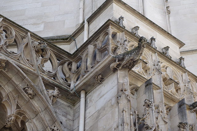 Cathédrale de Troyes. Cochon-1.jpg