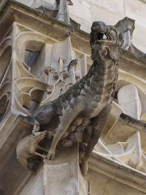 Cathédrale de Troyes. Cochon-2.jpg