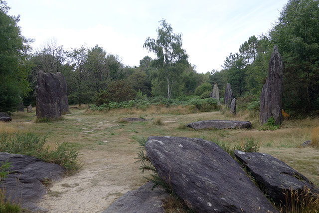 Les menhirs de Monteneuf. Menhir1.jpg