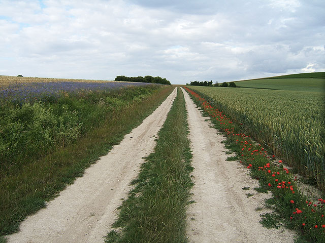 Sur le chemin Sur le chemin