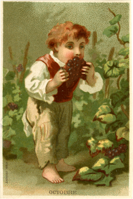 octobre 10-octobre.gif