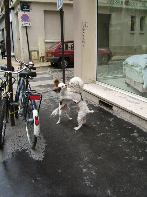 Rencontre Rencontre